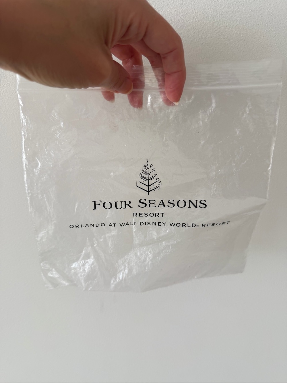 🗽Four Seasons Resort Clear Travel Pouch - White/Transparent